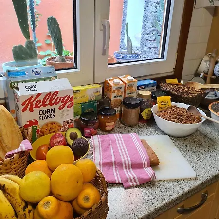 Cactus Coliving & Coworking Frühstückspension
