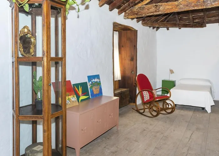 住宿加早餐酒店 Cactus Coliving & Coworking 阿罗纳