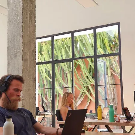 Cactus Coliving & Coworking *