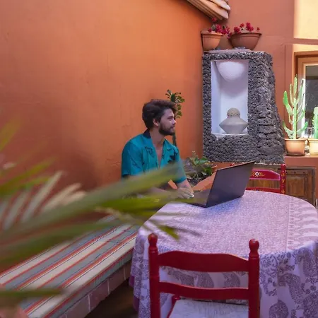 Cactus Coliving & Coworking Panzió