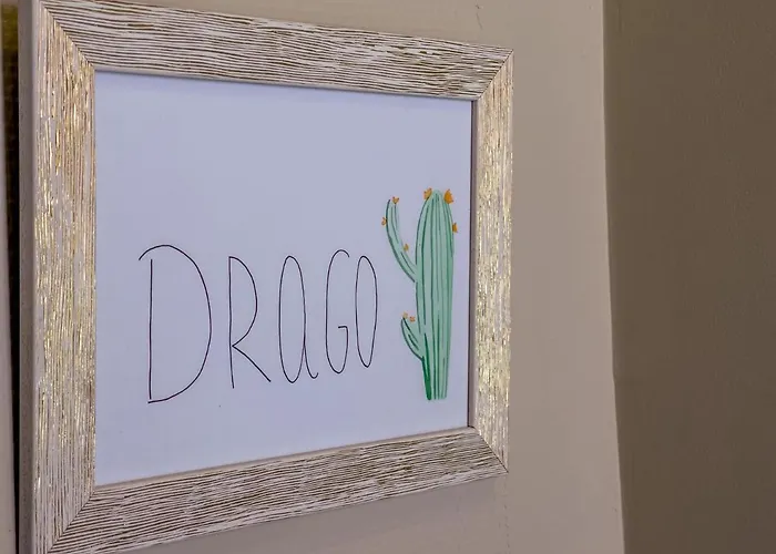 Bed and Breakfast Cactus Coliving & Coworking *