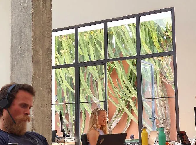 Cactus Coliving & Coworking *