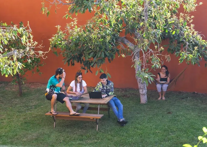 Cactus Coliving & Coworking Couette-café *