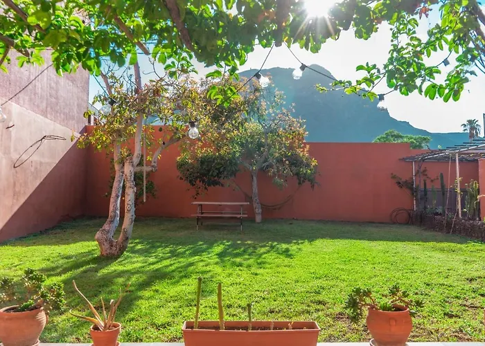 Cactus Coliving & Coworking Bed and Breakfast