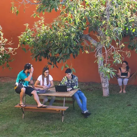 Cactus Coliving & Coworking Bed and Breakfast *
