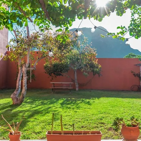 Cactus Coliving & Coworking Bed and Breakfast